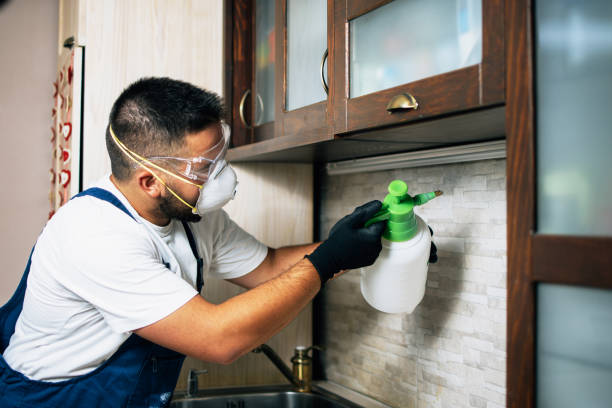 Wildlife Control Services in Wilkinson Heights, SC