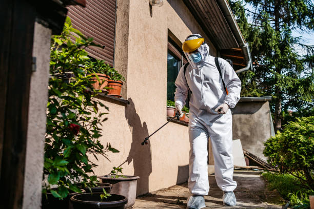Best Best Pest Control Companies  in Wilkinson Heights, SC