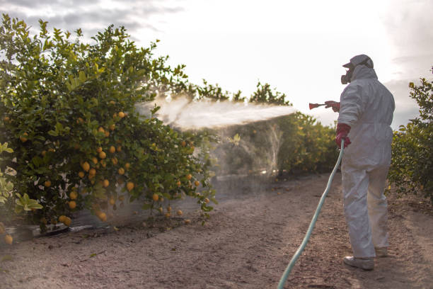 Best Pest Control Near Me  in Wilkinson Heights, SC
