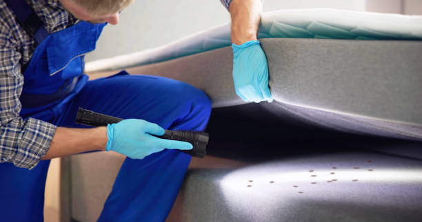 Best Flea Control Services  in Wilkinson Heights, SC