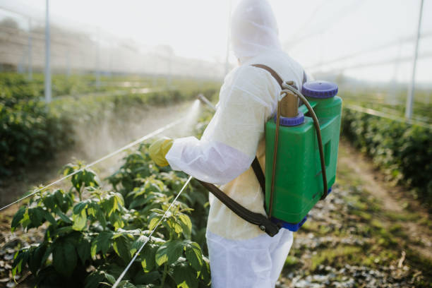 Best Local Pest Control Services  in Wilkinson Heights, SC